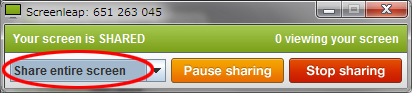 screenleap_shareentirescreen